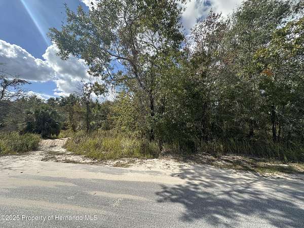0.54 Acres of Residential Land for Sale in Weeki Wachee, Florida