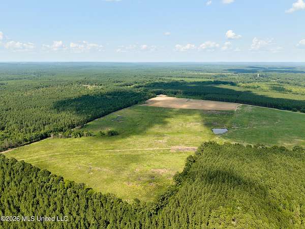 305 Acres of Land with Home for Sale in Louin, Mississippi