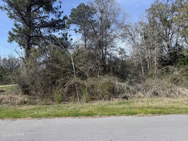 46 Acres of Land for Sale in Marianna, Florida
