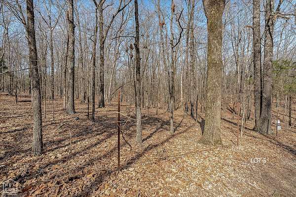 3 Acres of Residential Land for Sale in Jonesboro, Arkansas