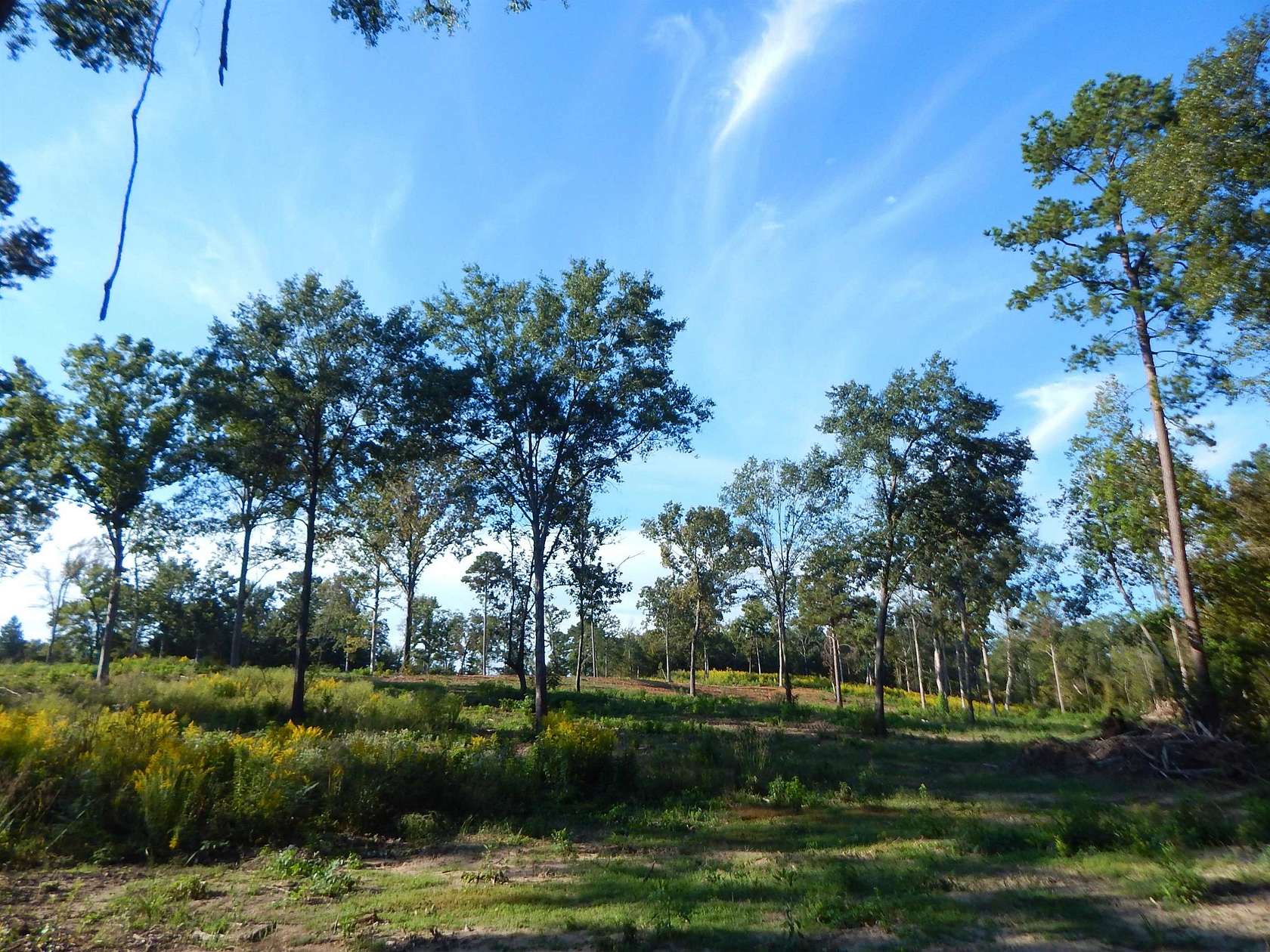 7.57 Acres of Residential Land for Sale in Ore City, Texas