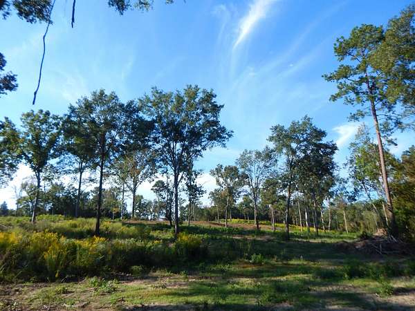 7.57 Acres of Residential Land for Sale in Ore City, Texas