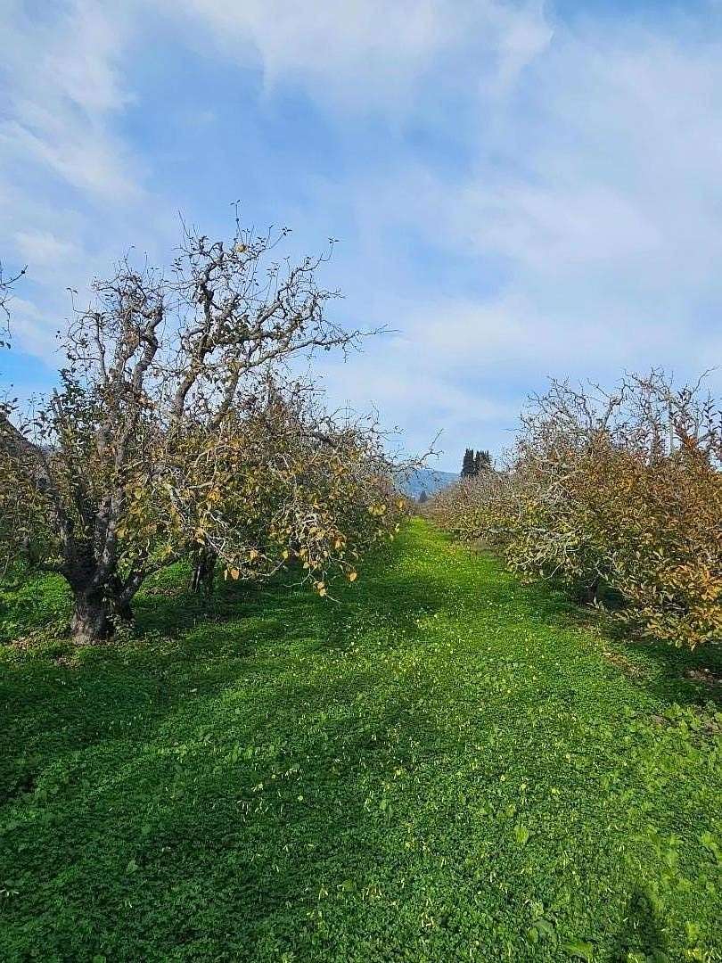 11.3 Acres of Land for Sale in Corralitos, California
