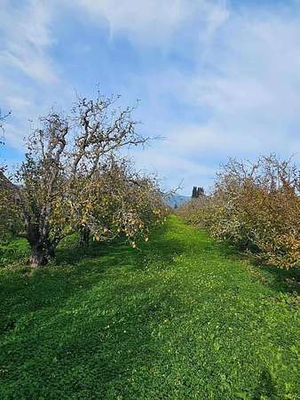 11.3 Acres of Land for Sale in Corralitos, California