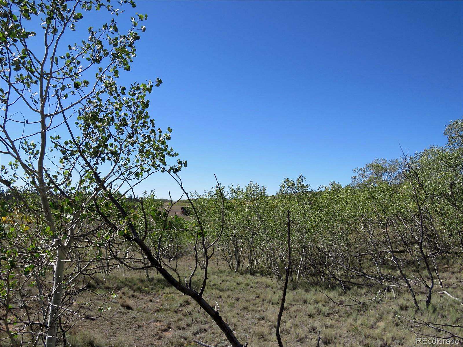2 Acres of Residential Land for Sale in Jefferson, Colorado
