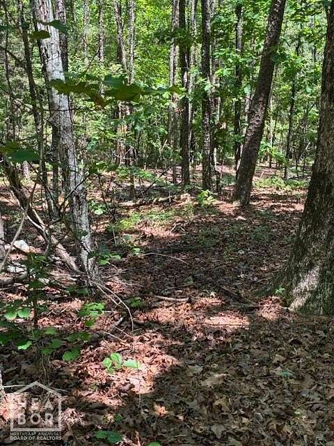 0.25 Acres of Residential Land for Sale in Hot Springs Village, Arkansas