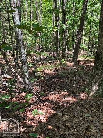 0.25 Acres of Residential Land for Sale in Hot Springs Village, Arkansas