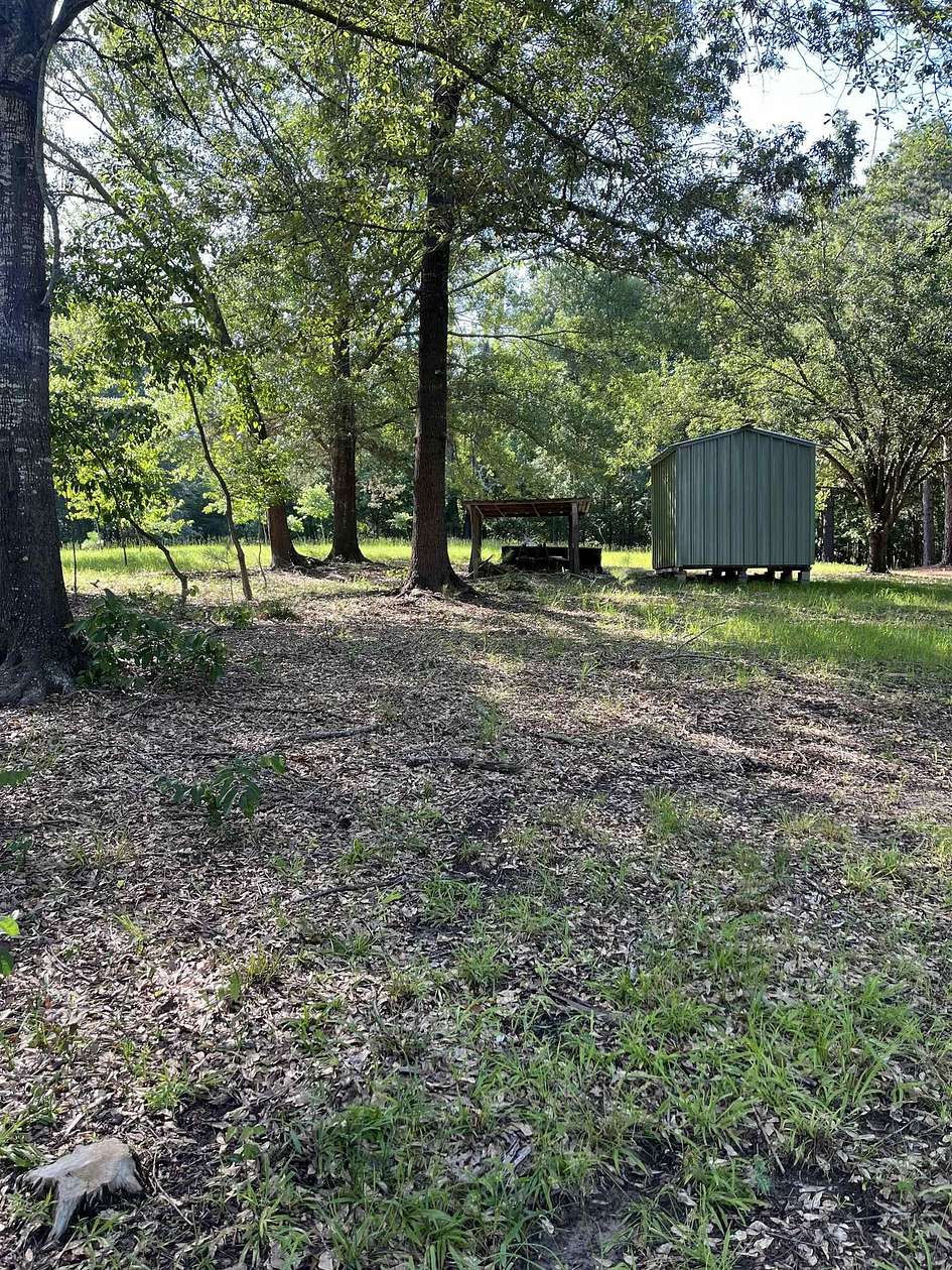 1 Acre of Residential Land for Sale in Avinger, Texas