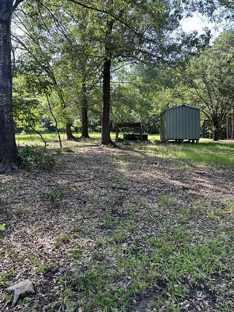 1 Acre of Residential Land for Sale in Avinger, Texas