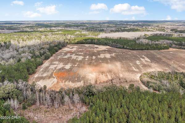 15 Acres of Land for Sale in Westville, Florida
