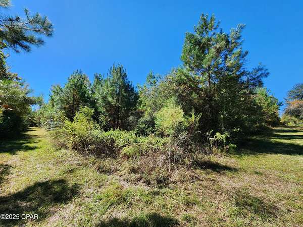 92.5 Acres of Recreational & Residential Land for Sale in Marianna, Florida