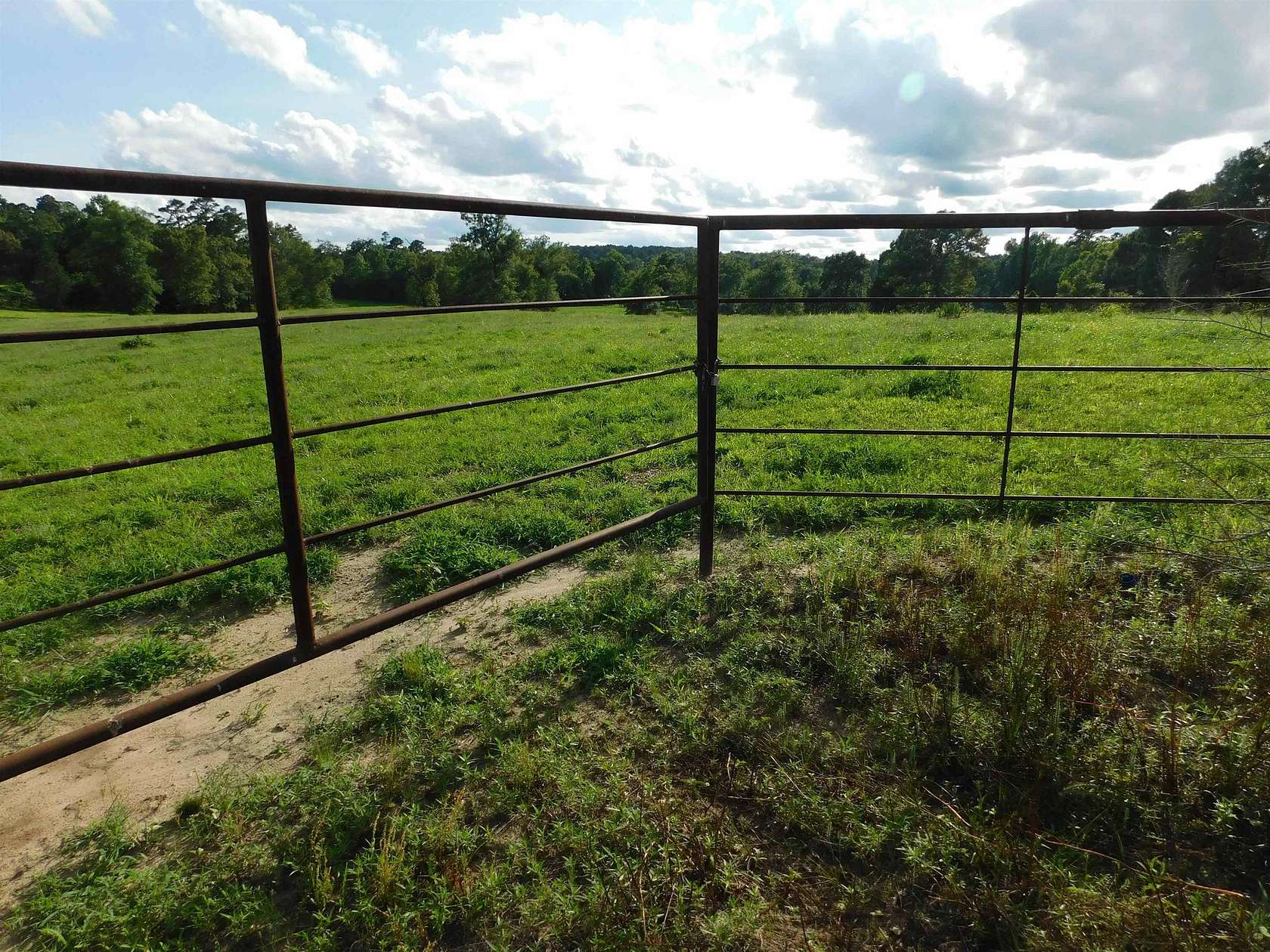 10 Acres of Residential Land for Sale in Big Sandy, Texas