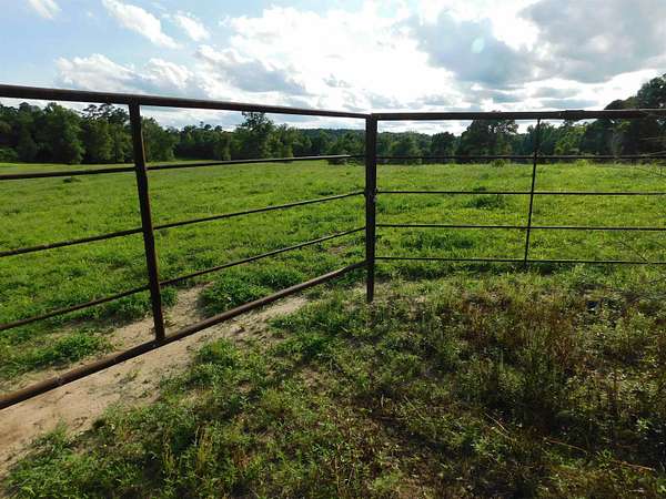 10 Acres of Residential Land for Sale in Big Sandy, Texas