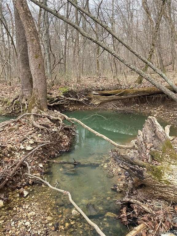 65.5 Acres of Land for Sale in Warrenton, Missouri