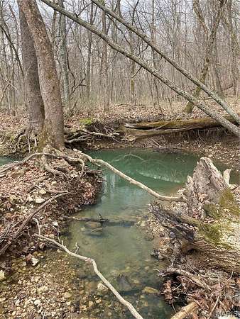 65.5 Acres of Land for Sale in Warrenton, Missouri