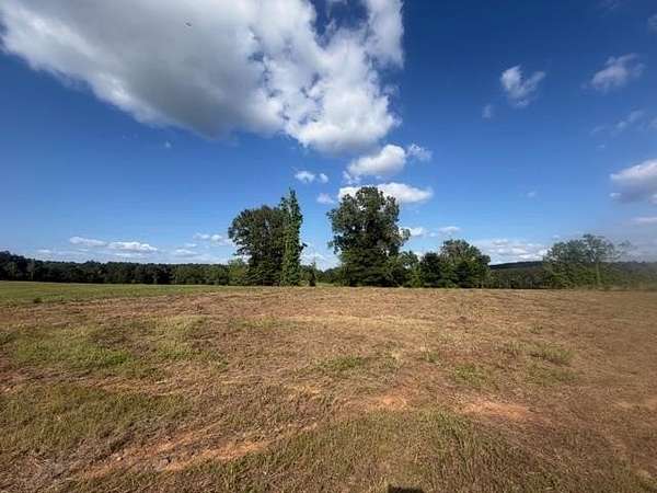 2.42 Acres of Residential Land for Sale in Diana, Texas
