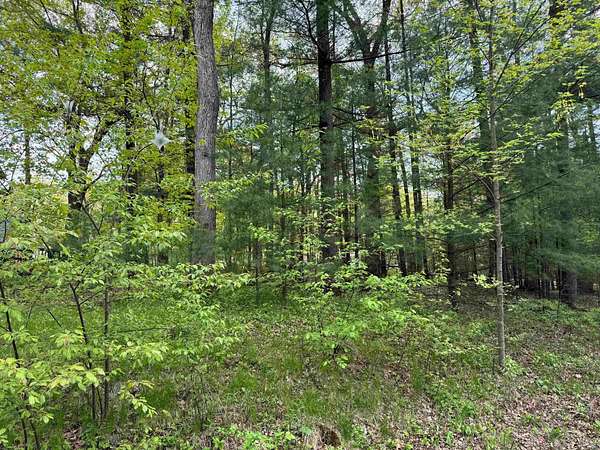 0.32 Acres of Residential Land for Sale in Lake Delton, Wisconsin