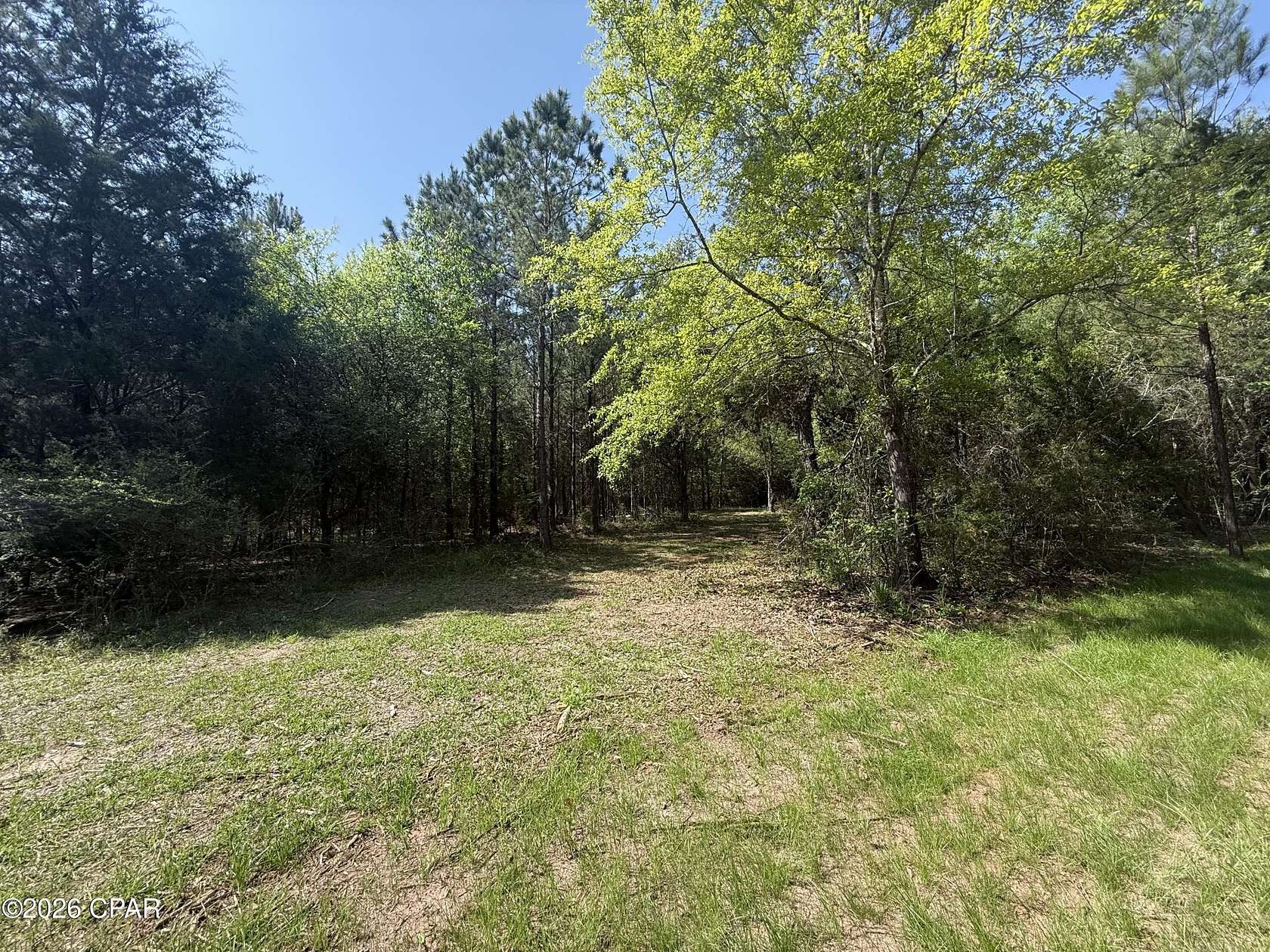 12.1 Acres of Land for Sale in Marianna, Florida