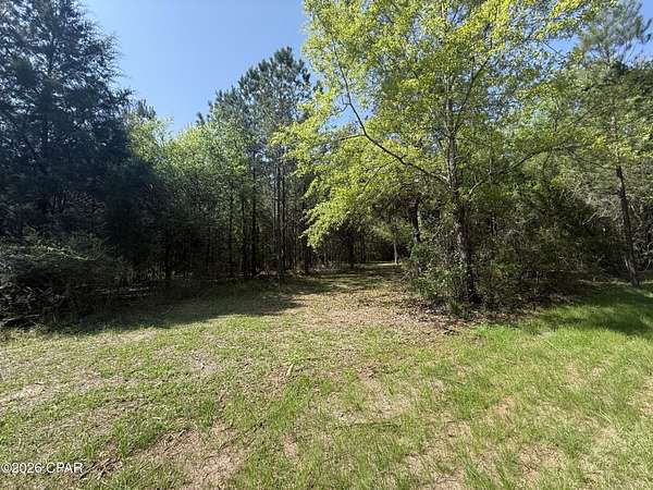 12.1 Acres of Land for Sale in Marianna, Florida