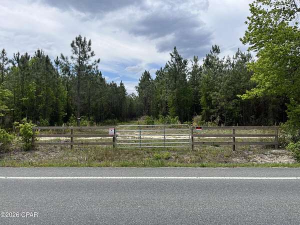 13.9 Acres of Land for Sale in Blountstown, Florida