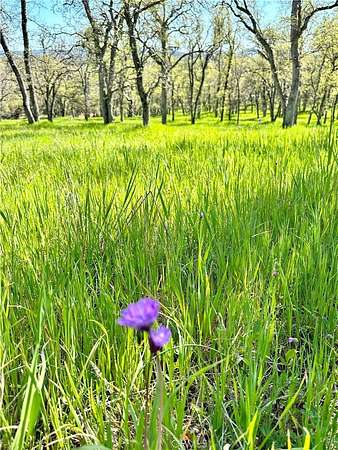 12.9 Acres of Land for Sale in Sonora, California