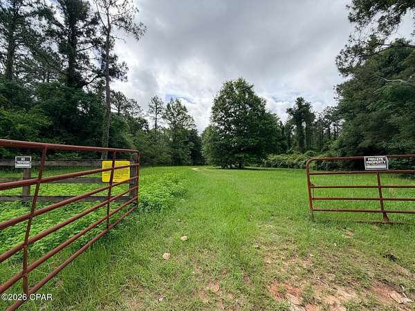 7.14 Acres of Residential Land for Sale in Westville, Florida