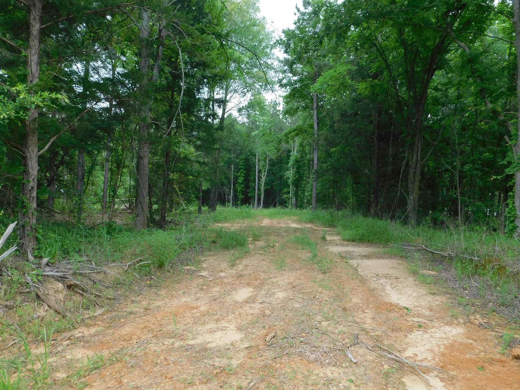 0.7 Acres of Land for Sale in Gilmer, Texas