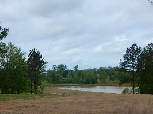 3 Acres of Land for Sale in Diana, Texas