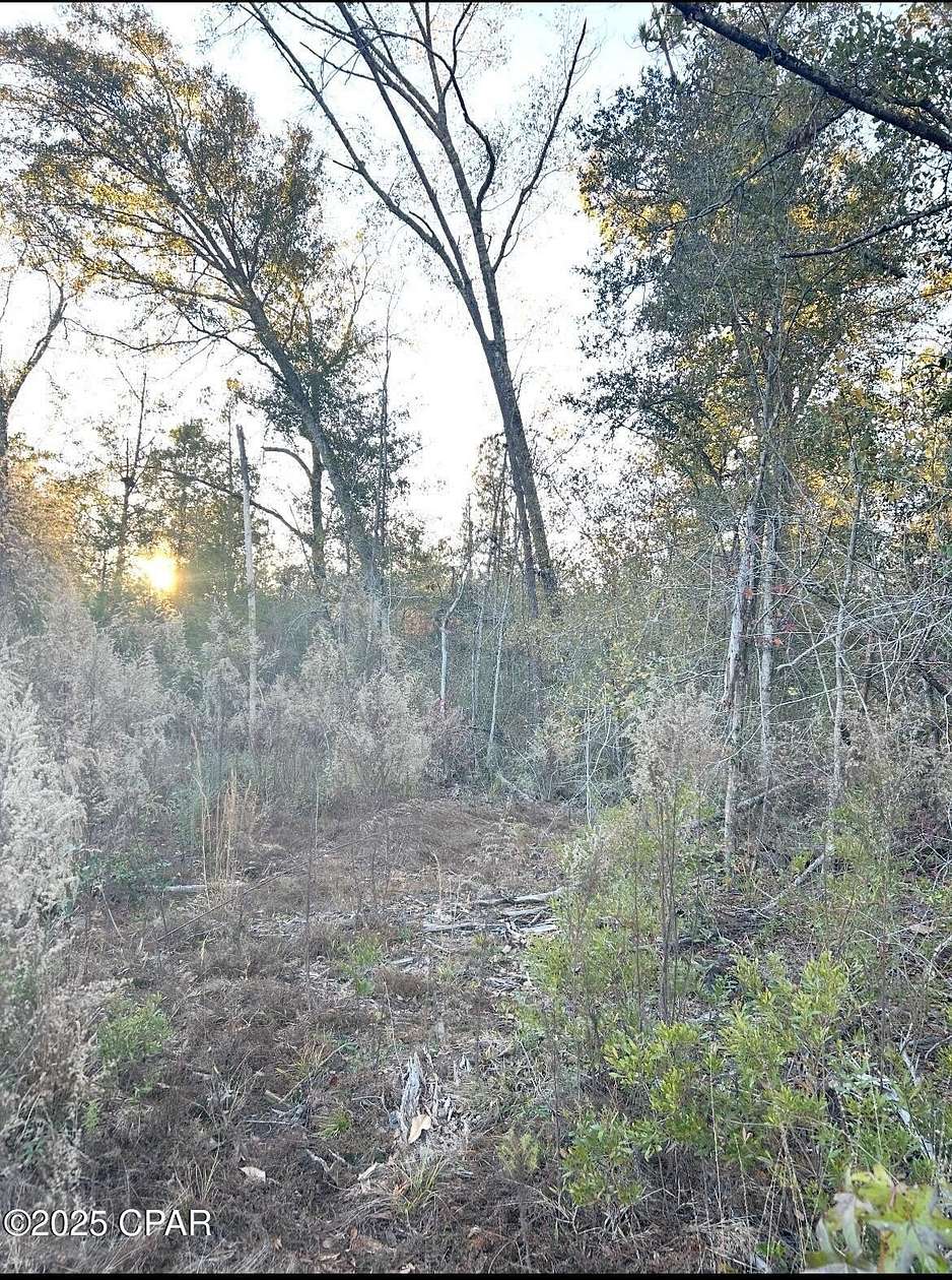 4.37 Acres of Residential Land for Sale in Marianna, Florida