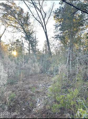 4.37 Acres of Residential Land for Sale in Marianna, Florida