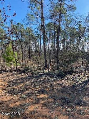 1 Acre of Residential Land for Sale in Marianna, Florida