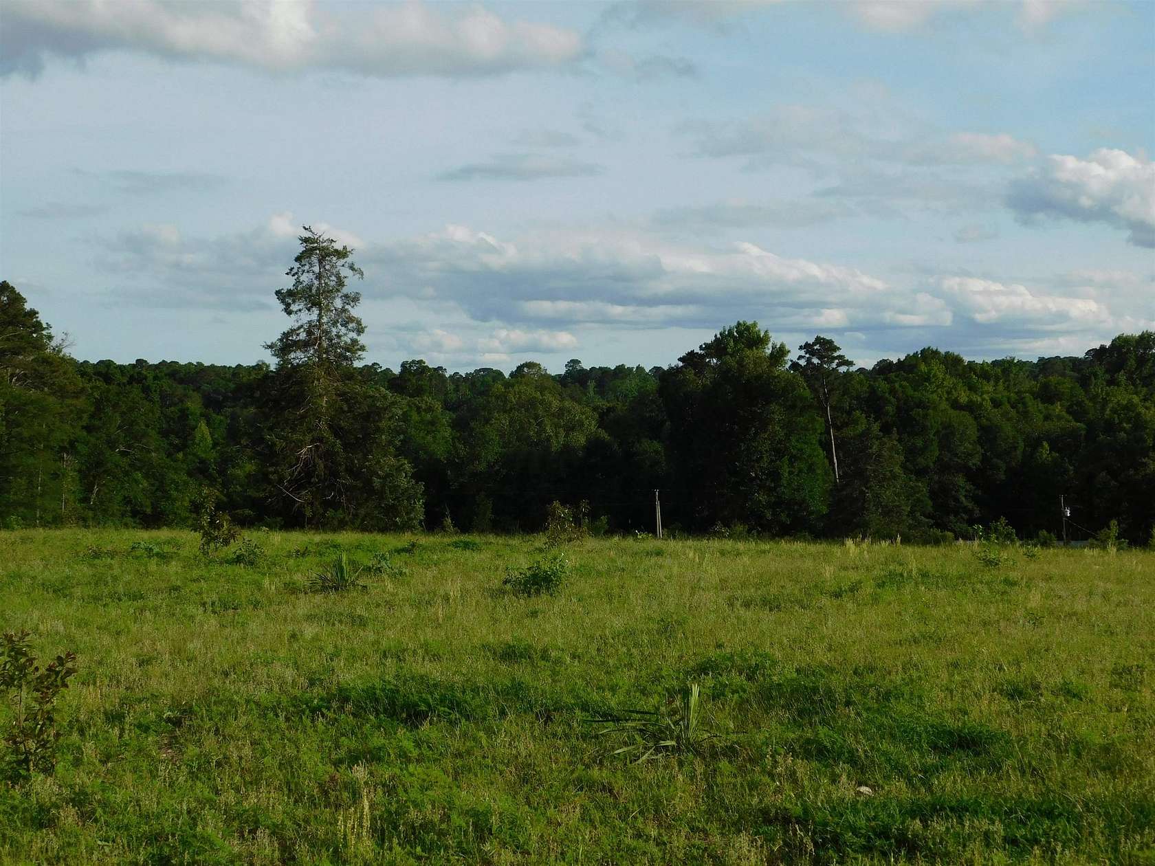 13 Acres of Land for Sale in Big Sandy, Texas
