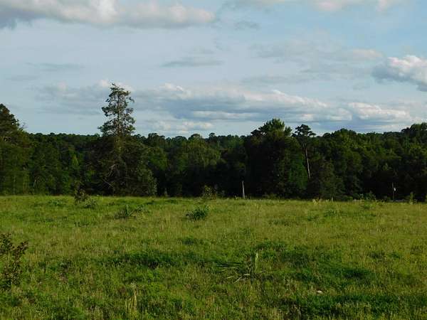 13 Acres of Land for Sale in Big Sandy, Texas
