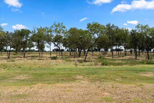 1 Acre of Residential Land for Sale in Richland, Texas