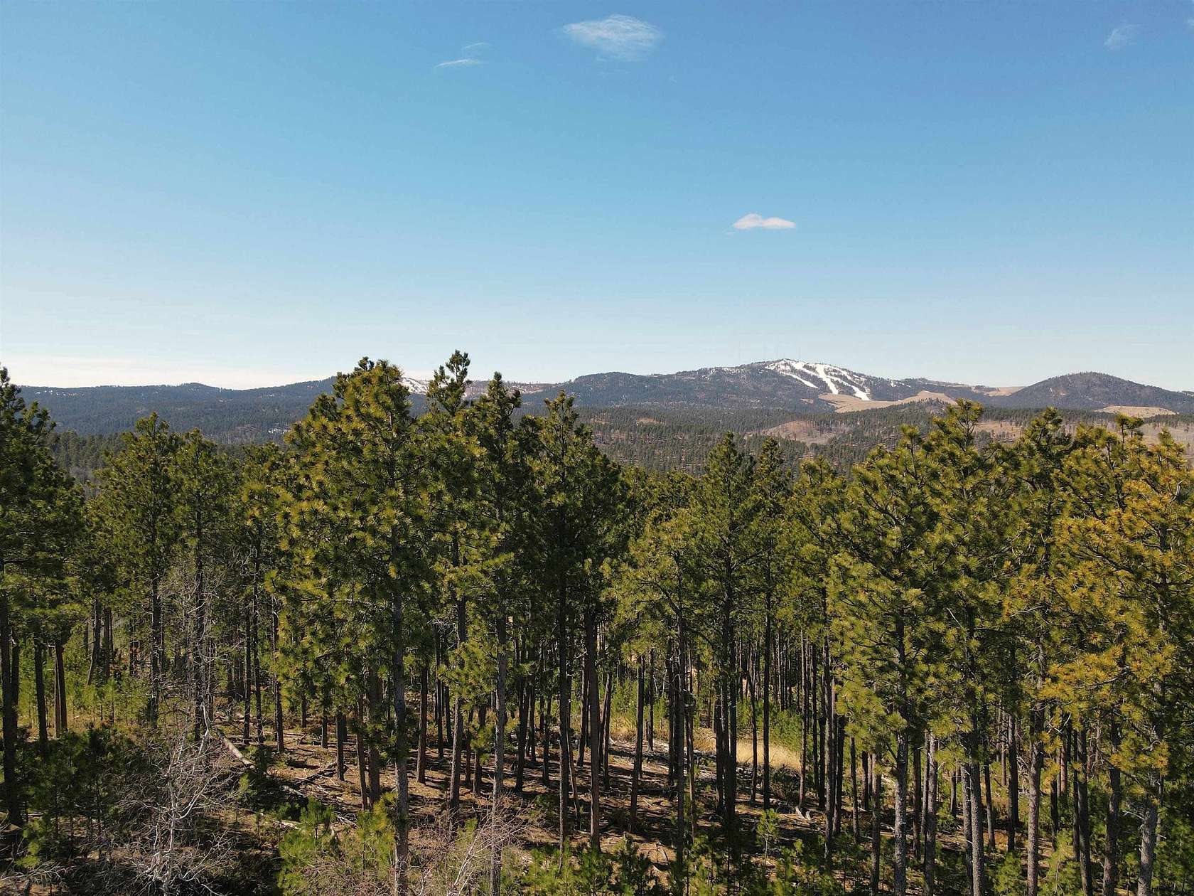 6.8 Acres of Residential Land for Sale in Lead, South Dakota