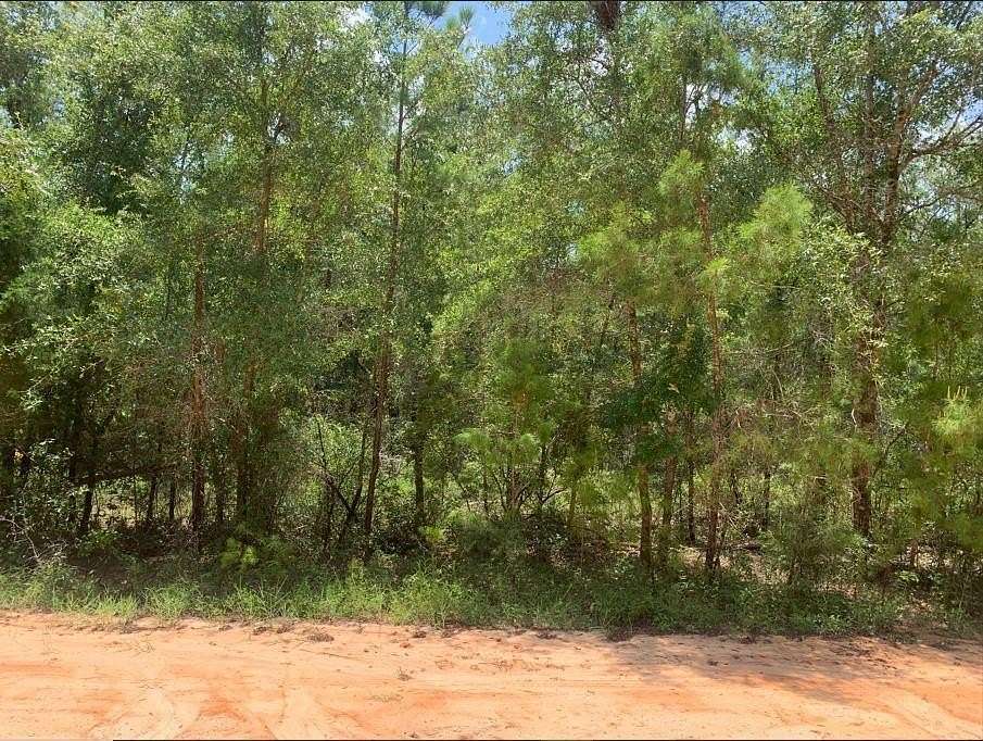 0.23 Acres of Residential Land for Sale in Satsuma, Florida