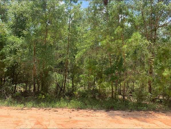 0.23 Acres of Residential Land for Sale in Satsuma, Florida