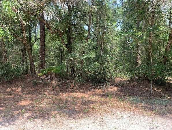 0.23 Acres of Residential Land for Sale in Satsuma, Florida