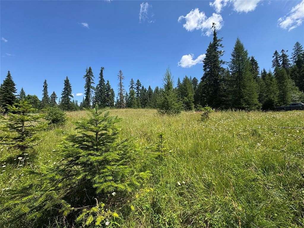 0.67 Acres of Land for Sale in Bigfork, Montana