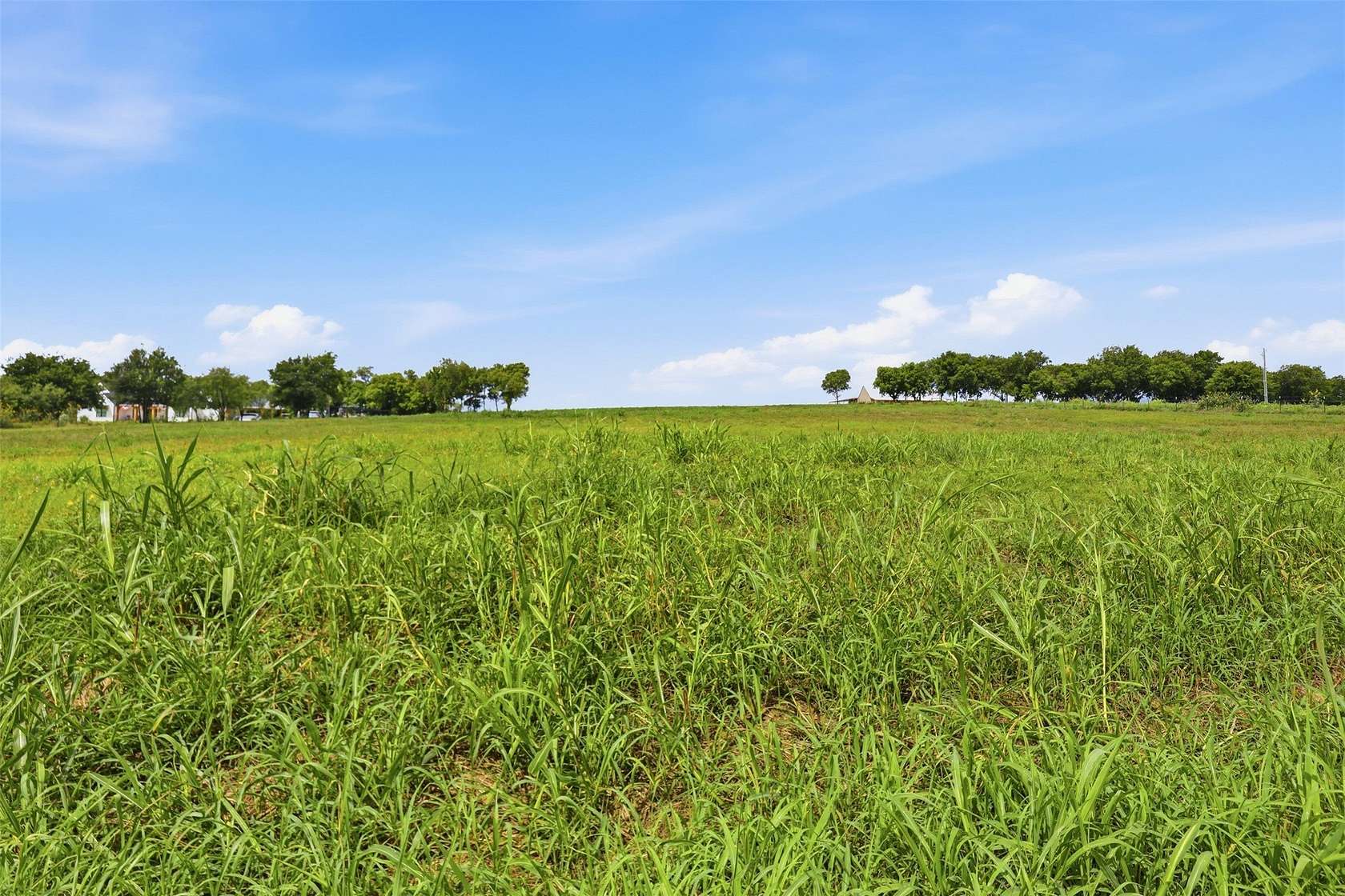 22.3 Acres of Agricultural & Residential Land for Sale in Grandview, Texas