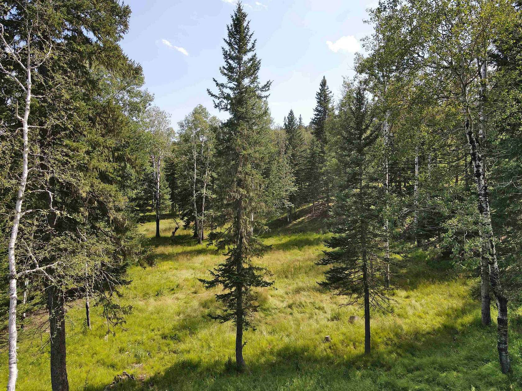 3 Acres of Residential Land for Sale in Deadwood, South Dakota