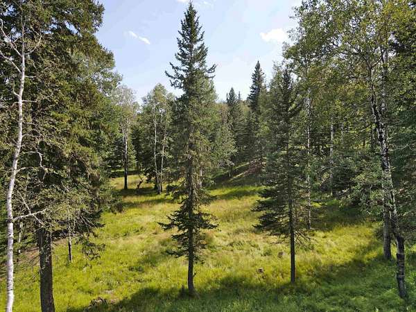 3 Acres of Residential Land for Sale in Deadwood, South Dakota