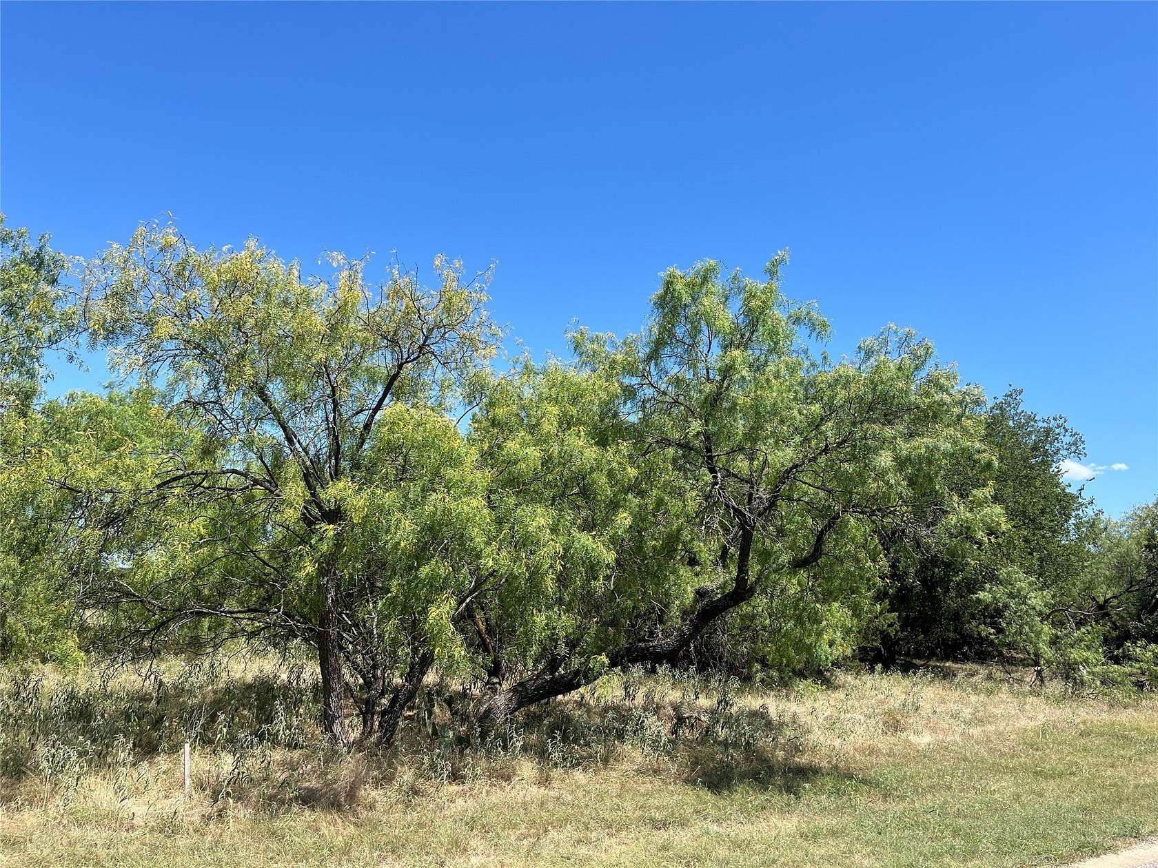 0.13 Acres of Residential Land for Sale in Whitney, Texas