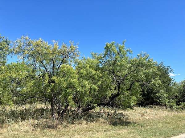 0.13 Acres of Residential Land for Sale in Whitney, Texas
