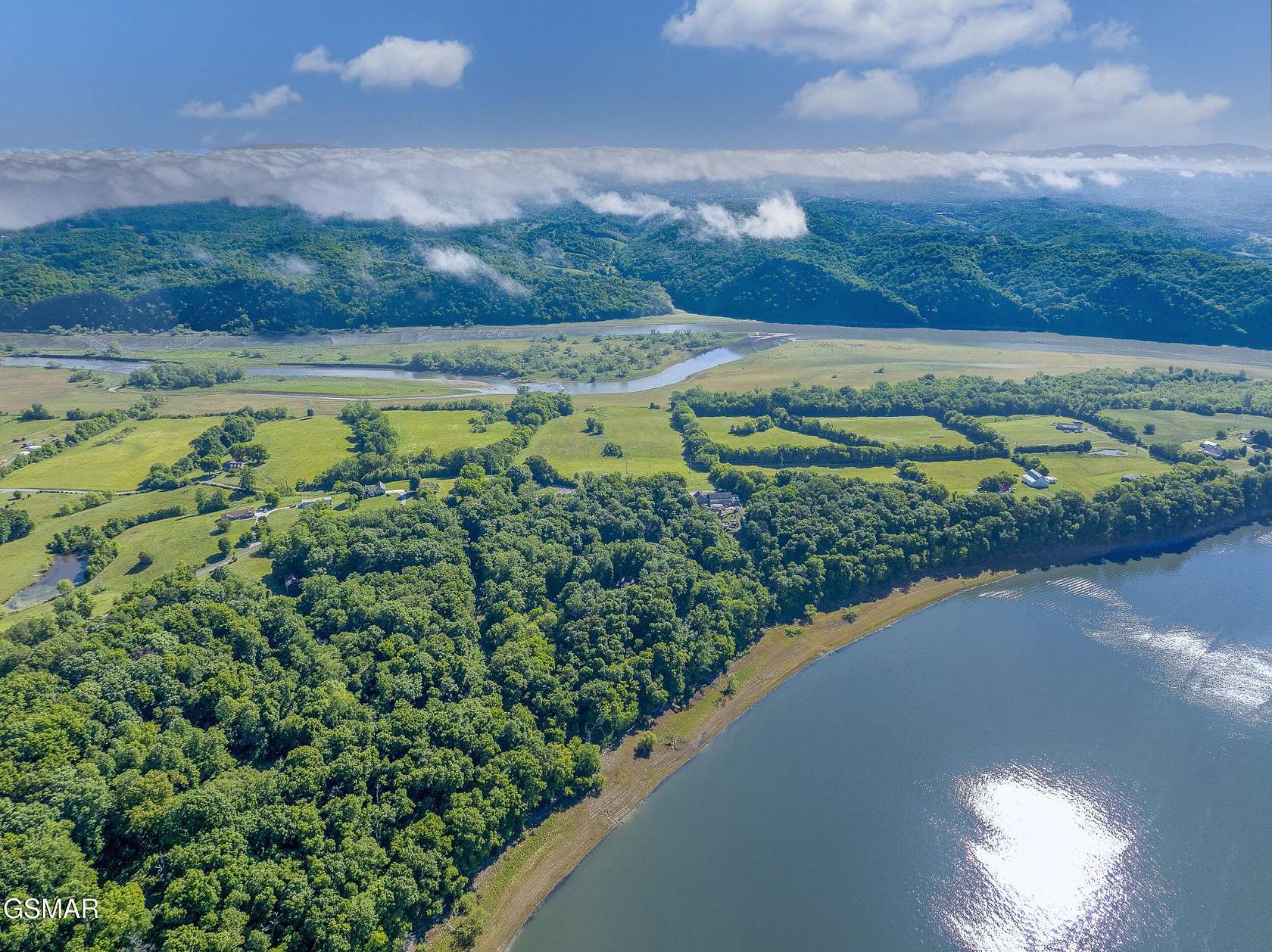 50.1 Acres of Land for Sale in White Pine, Tennessee