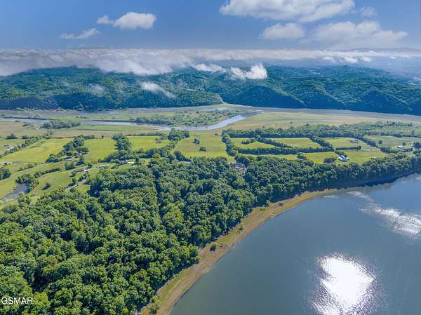 50.1 Acres of Land for Sale in White Pine, Tennessee
