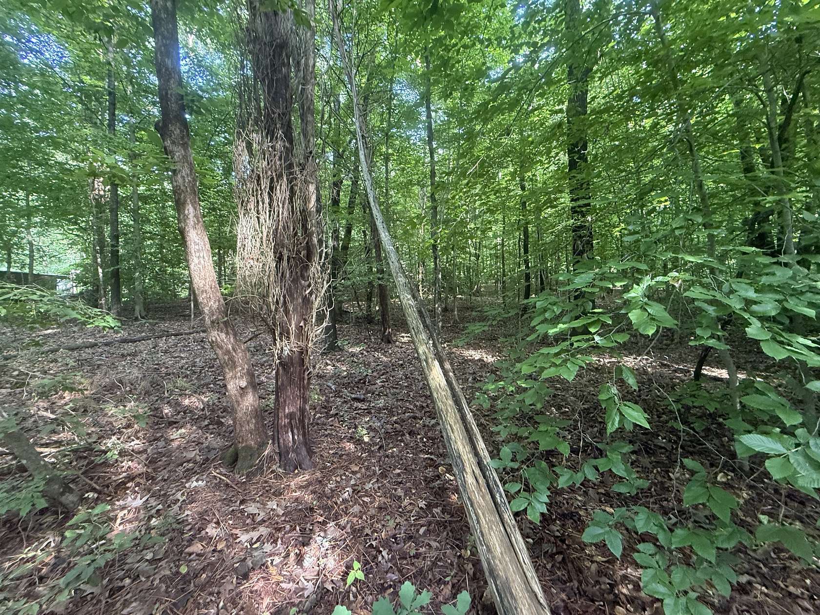 1 Acre of Residential Land for Sale in Stewart, Tennessee