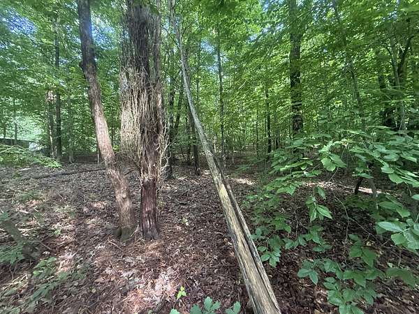 1 Acre of Residential Land for Sale in Stewart, Tennessee
