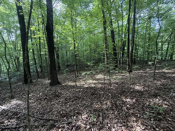 1 Acre of Residential Land for Sale in Stewart, Tennessee