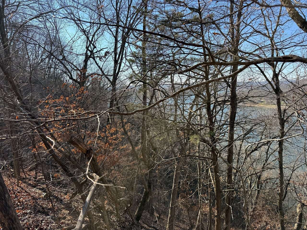 10.3 Acres of Land for Sale in Camdenton, Missouri